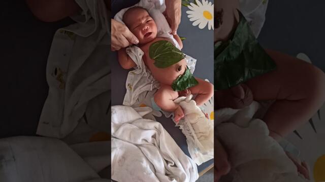 Gold được nội hơ lá trầu cho nè (12 ngày tuổi)