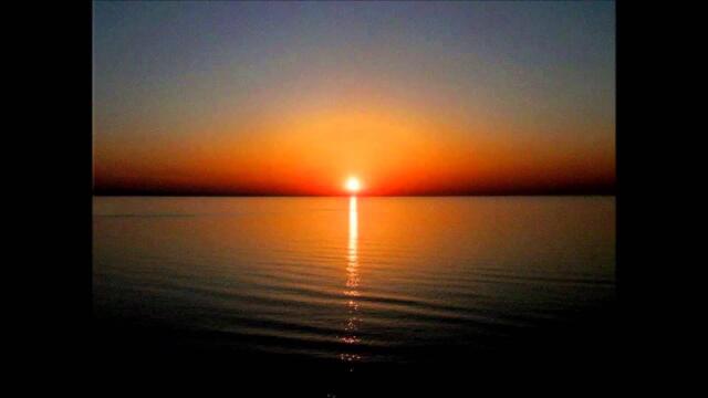 Сашо Роман - Птицо бяла