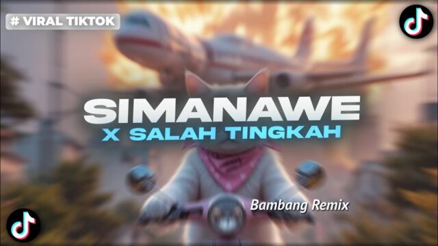 DJ FULL MASHUP SIMANAWE SALAH TINGKAH NEW 2025