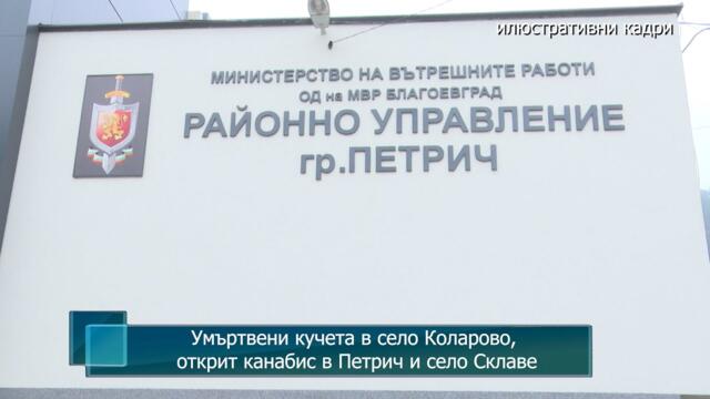 Умъртвени кучета в село Коларово, открит канабис в Петрич и село Склаве
