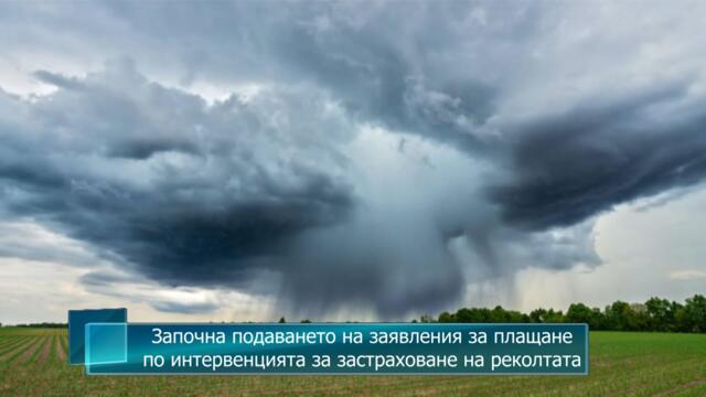 Започна подаването на заявления за плащане по интервенцията за застраховане на реколтата