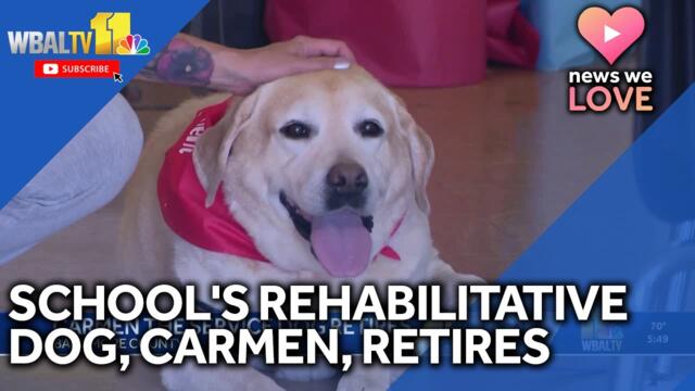 Carmen, school's rehabilitative facility dog, retires
