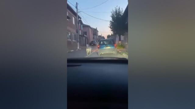 Ужас на пътя: Мъж влачи кучето си с кола, после заплашва свидетел с разправа!