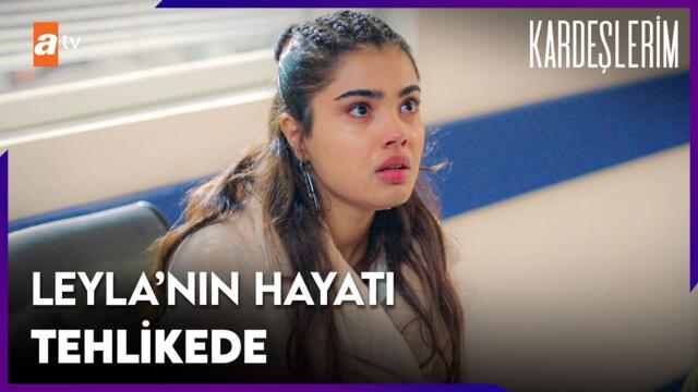 Süsen'in yalanı ortaya çıkacak mı? - Kardeşlerim 74. Bölüm