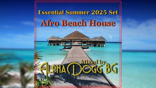 Alpha Dogg BG - Essential Summer 2025 Set - Afro Beach House