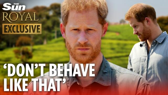 I saw Prince Harry’s rude side in Malawi - he was a patronising idiot and even his team were LIVID
