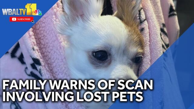 Family warns about scams involving lost pets