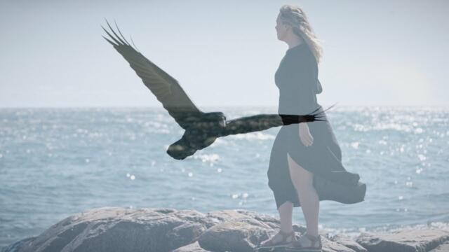 MANEGARM - Rodhins hav (Official Video) | Napalm Records