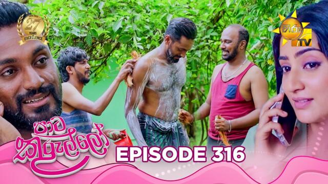 Paata Kurullo - පාට කුරුල්ලෝ | Episode 316 | 2025-07-25 | Hiru TV