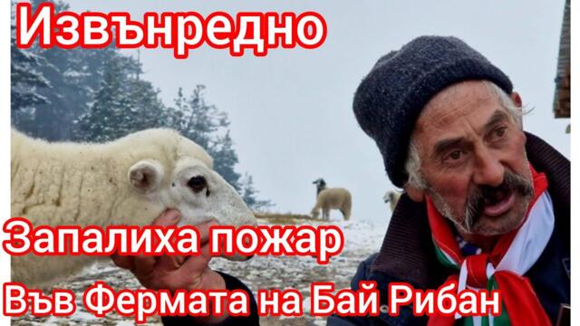 Извънредно - Запалиха пожар във Фермата на Бай Рибан - Мафията в атака?