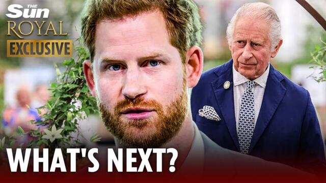 King warned Harry he couldn’t survive without the royals - his axed £100m Netflix deal proves it