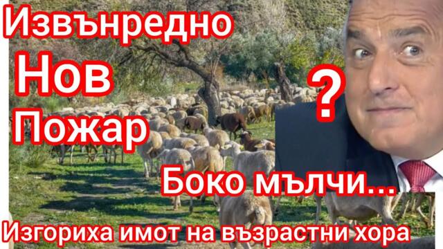 Пожар на обор и къща на възрастни хора - Боко и Шиши разкрити - Павел Стоименов на помощ