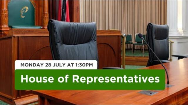 1st Extraordinary Sitting of the House - 1st Session - 13th Parliament - July 28, 2025