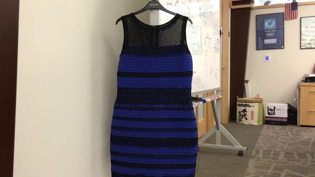 The Blue / Black / White / Gold Dress