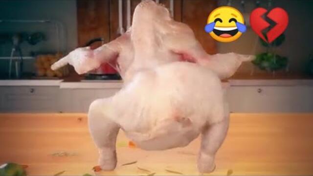 دجاجة ترقص على اغنية البنط العريض اه لقيط طبطبة 😂💔