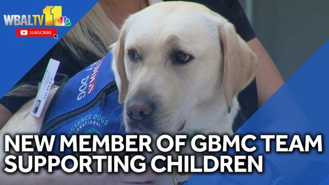New dog joins team, helps kids cope at GBMC