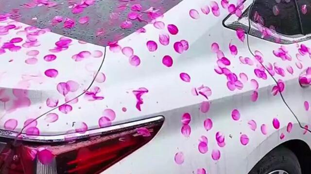 Quand le printemps ruine ta voiture 