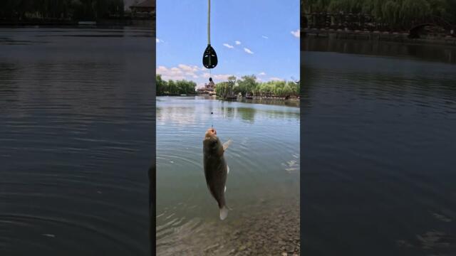 Каракуди 2.Как хванах 15 кг  шаран на Вятърните мелници  Method Feeder, монтаж, стръв. #shorts