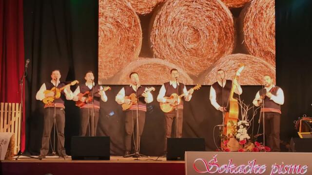 Tambura Band ~ RIČI MOGA DADE • 14. GF Šokačke pisme • Županja, 01.02.2019. - Moj snimak mobitelom