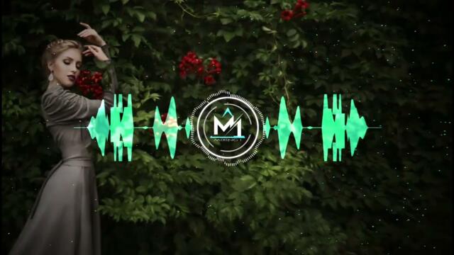 Humne Tumko Dil Ye De Diya Remix ×××××××××× | Old Hindi Remix Song | Mixing i