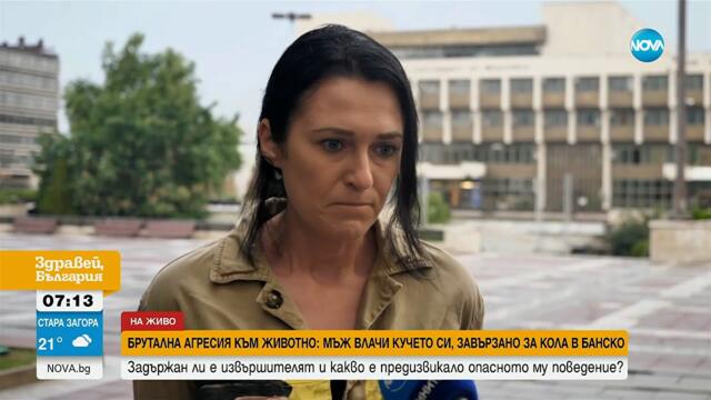 Кучето, влачено за кола в Банско, е без наранявания. Собственикът ще бъде санкциониран