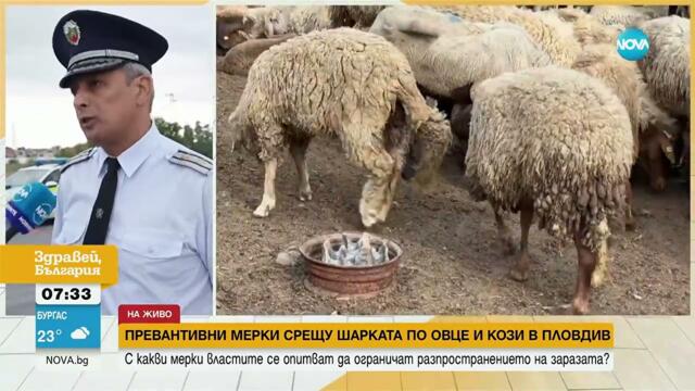 Заради шарката: Акция на полицията срещу нелегалните превоз и продажба на животни