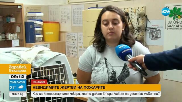 Как „Зелени Балкани” помага на животни, пострадали при горските пожари?
