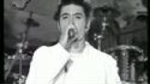 Tose Proeski - Zena Balkanska