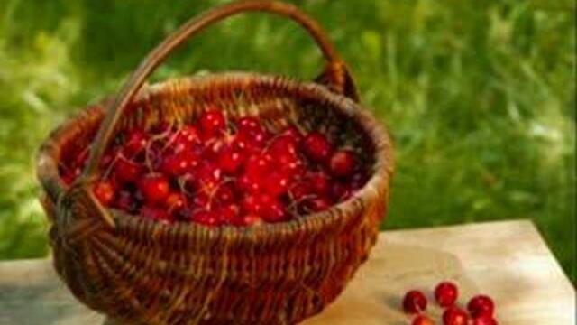 Tose Proeski - Cresa
