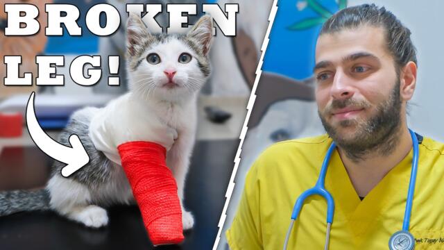 YAVRU KEDİ BACAĞINI KIRMIŞ! (Tekrar Koşabilecek Mi!?)