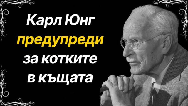 Карл Юнг предупреди за КОТКИТЕ в дома – Това, което каза, ще ви шокира!