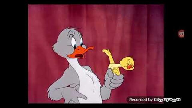 Tom y jerry gatito persigue todos los días que pato! En español