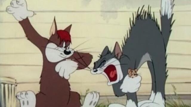 Tom and Jerry - Sufferin' Cats!