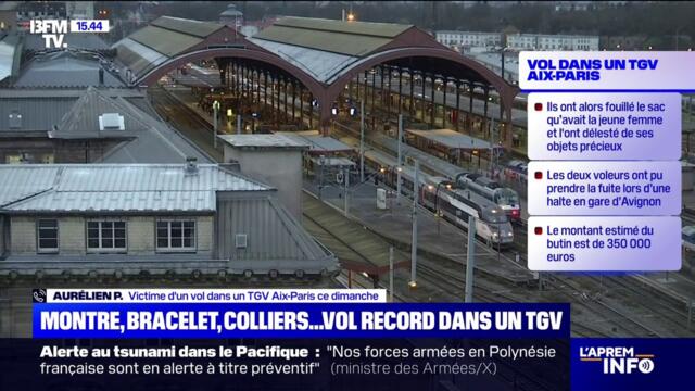 "Il y a un côté sentimental qui est perdu": victime d'un vol record de bijoux de luxe dans le TGV avec sa compagne, Aurélien témoigne