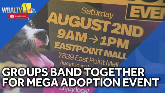 Groups band together this weekend for mega adoption event