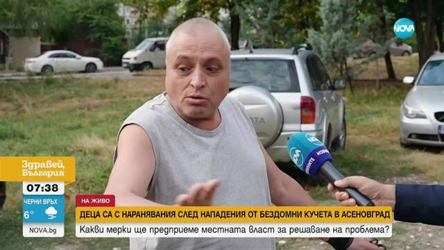 Бездомни кучета системно нападат деца в Асеновград