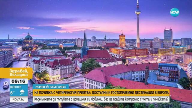 „Живей красиво”: Ваканция с домашния любимец