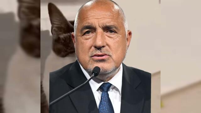 Мизер Мюзик - пр○cTuTyTka Tyk (Галин и Азис - тази дискотека) 2025