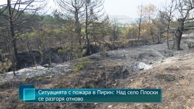Ситуацията с пожара в Пирин: Над село Плоски се разгоря отново