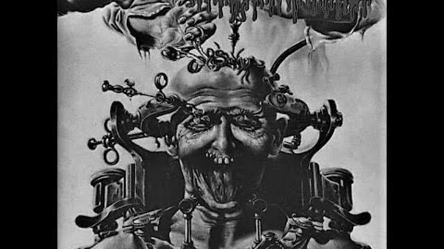 AGATHOCLES / Pale