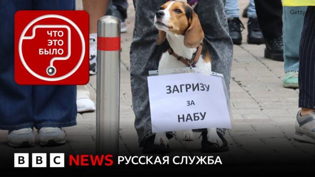 Как президент Зеленский перестал быть «сакральной фигурой»