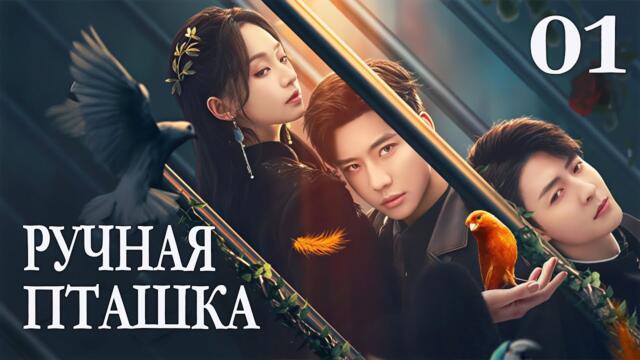 Ручная пташка 01 серия (русская озвучка) дорама Садистская любовь