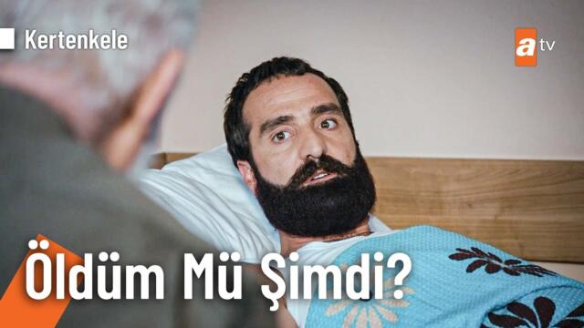 Kertenkele'nin komik halleri - Kertenkele Kolaj