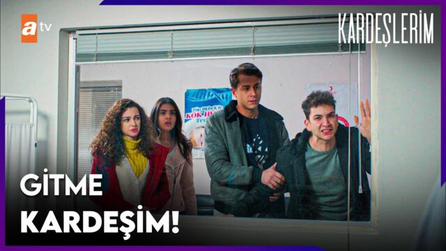 Tolga kardeşini kaybetti - Kardeşlerim 74. Bölüm