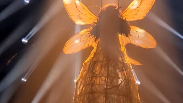 Non vraiment elle vole