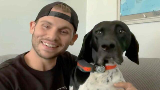 Dog Helps Bring Owner to Safety After Being Ejected Down Cliff