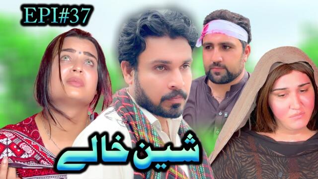 SHEEN KHALAY EPISODE 37 NEW SERIAL DRAMA  BY GULL KHAN VINES 2025