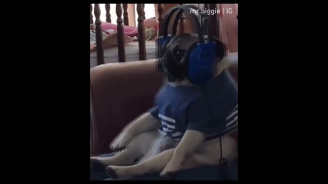 B.G. THE PRINCE OF RAP THE COLOUR OF MY DREAMS [ DAN̈IEL CAIN HARDSTYLE REMIX  ERWINDEJUKEBOXMAN 🎵