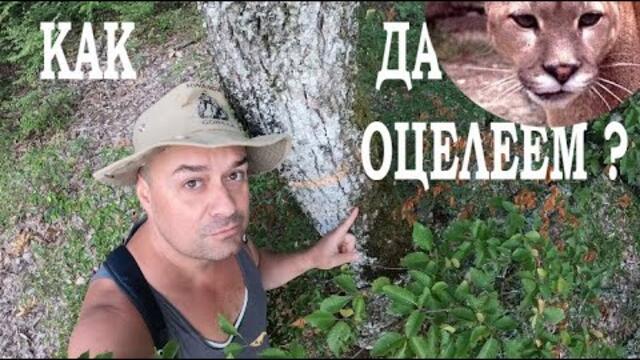 ОЦЕЛЯВАНЕ В ПРИРОДАТА НА БЪЛГАРИЯ SURVIVING IN BULGARIA #foraging #herbs #nature #survival