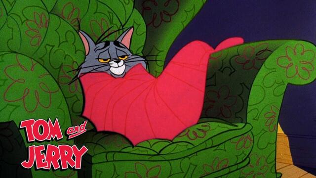 Der Winter kommt! ☃️ | Tom & Jerry | @GenWBDeutschland